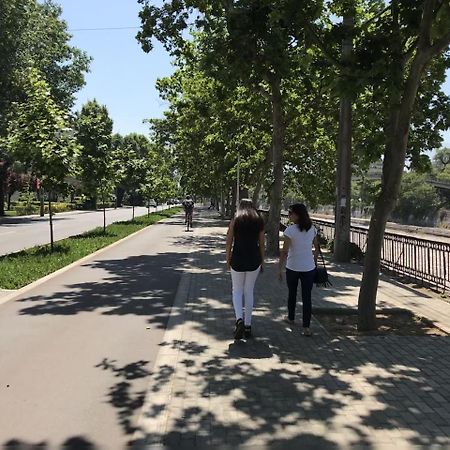 Departamento De Lujo 1 En Barrio Bellavista Apartment Сантяго Екстериор снимка