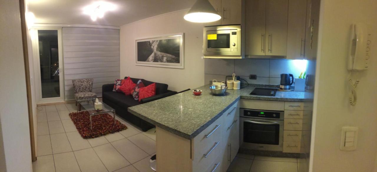 Departamento De Lujo 1 En Barrio Bellavista Apartment Сантяго Екстериор снимка